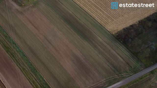 Działka budowlana Rogóżno. Zdjęcie 2