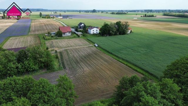 Działka budowlana Dobrosołowo. Zdjęcie 6