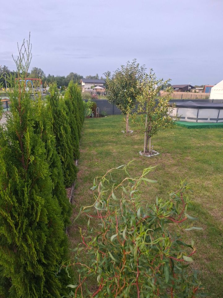 Działka rod Poznań Głuszyna. Zdjęcie 7