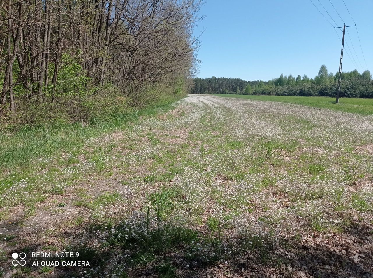 Działka budowlana Ignacówka Grabnowolska. Zdjęcie 3