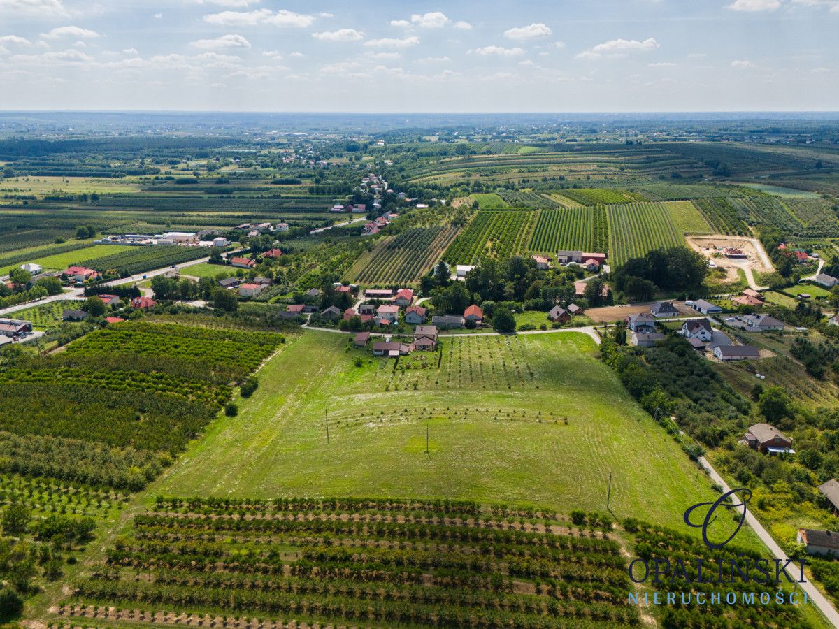 dom wolnostojący, 6 pokoi Skrzypaczowice. Zdjęcie 4