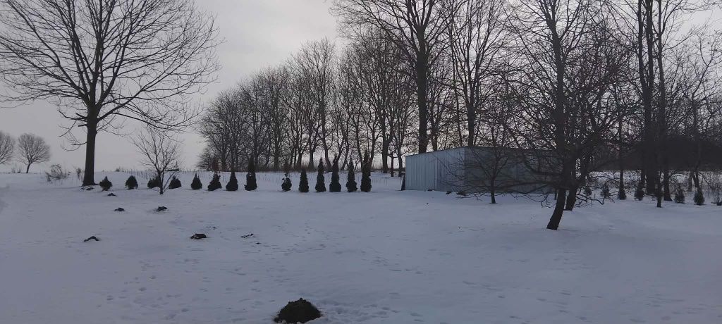 Działka rolno-budowlana Tarnogród. Zdjęcie 8