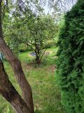 Działka rod Zielona Góra Jędrzychów, ul. Botaniczna. Zdjęcie 3