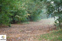 Działka budowlana Pszczyna Stara Wieś, ul. Łowiecka. Zdjęcie 3