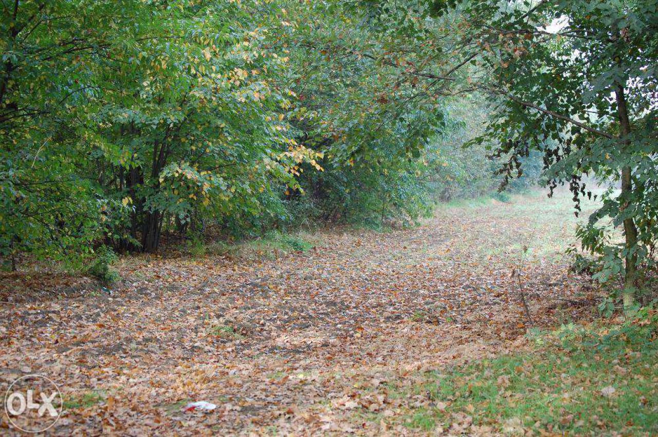 Działka budowlana Pszczyna Stara Wieś, ul. Łowiecka. Zdjęcie 4