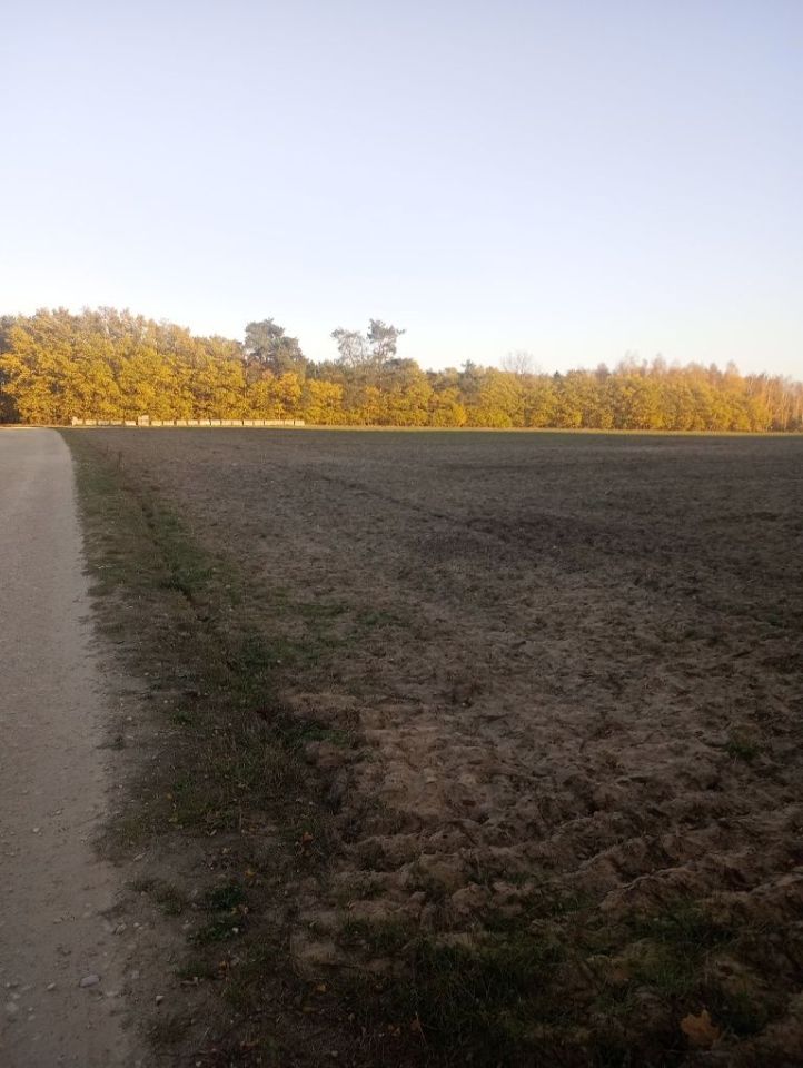 Działka budowlana Siedlce. Zdjęcie 8