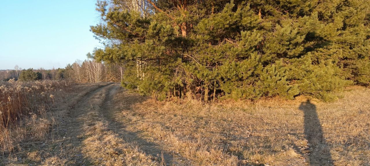 Działka rolna Stare Kościeliska, ul. Bratkowa. Zdjęcie 5