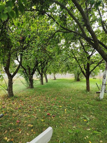 Działka rolno-budowlana Chmielinko. Zdjęcie 1