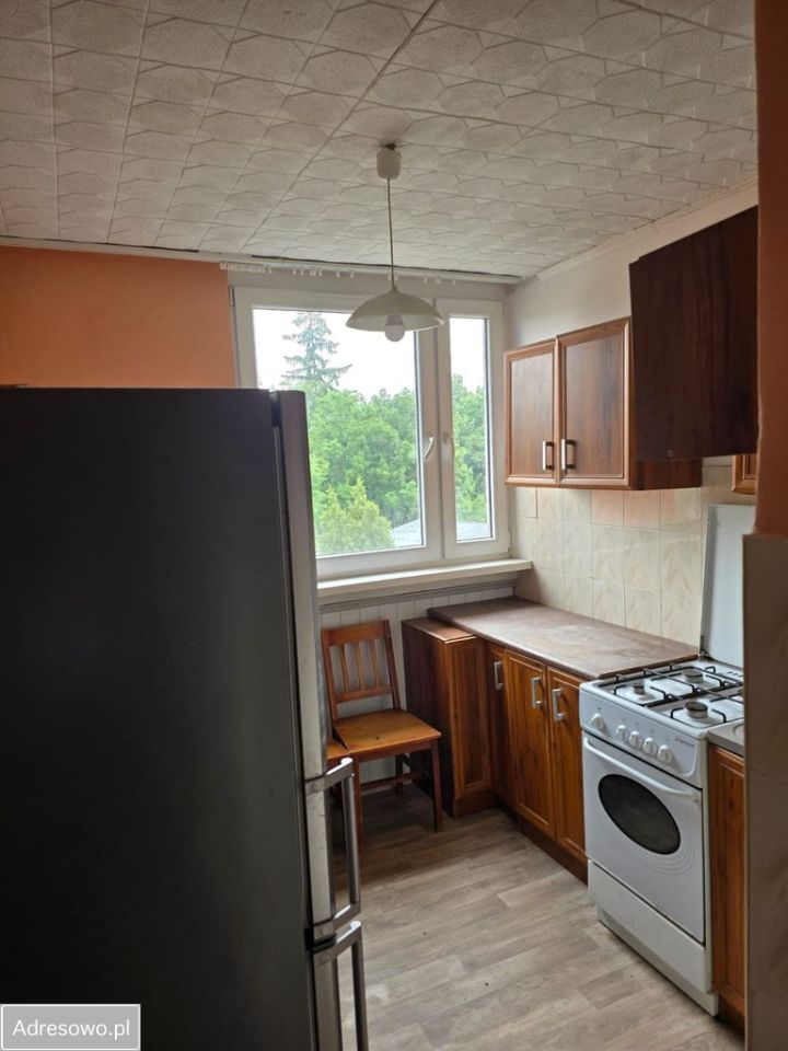 Mieszkanie 2-pokojowe Strzegom. Zdjęcie 4