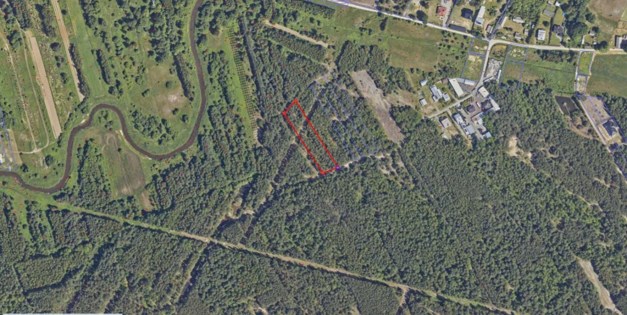 Działka leśna Ruda Solska. Zdjęcie 2