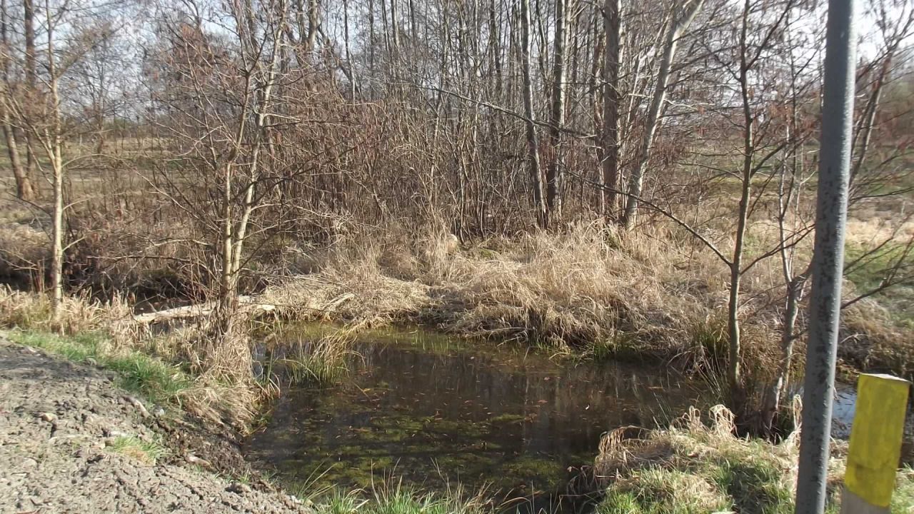 Działka rekreacyjna Adamów. Zdjęcie 6