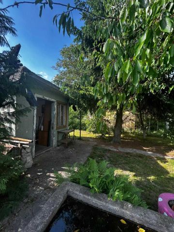 Działka rod Legnica, ul. Kryniczna. Zdjęcie 1
