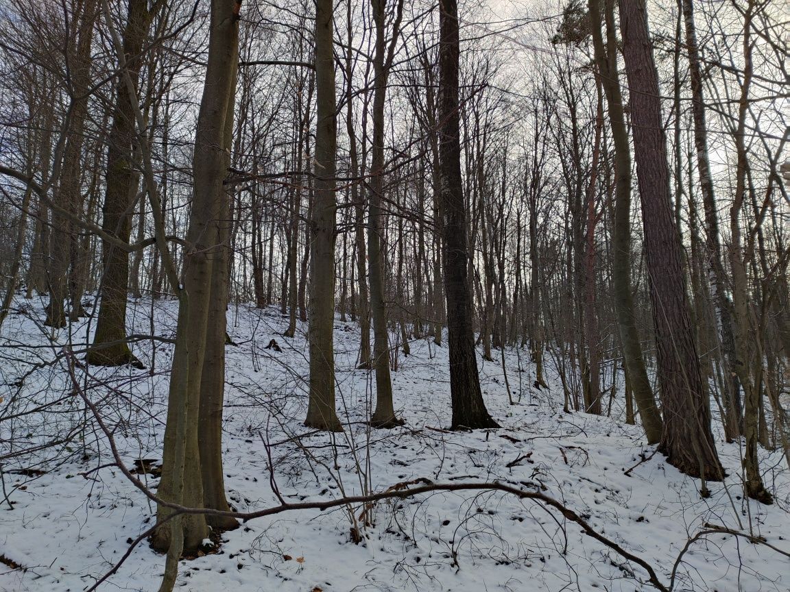 Działka leśna Drohobyczka Bircza. Zdjęcie 3