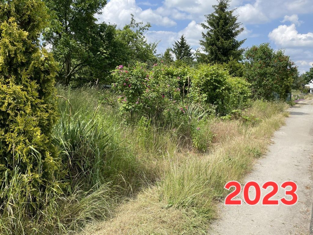 Działka rod Wrocław Polanowice. Zdjęcie 4