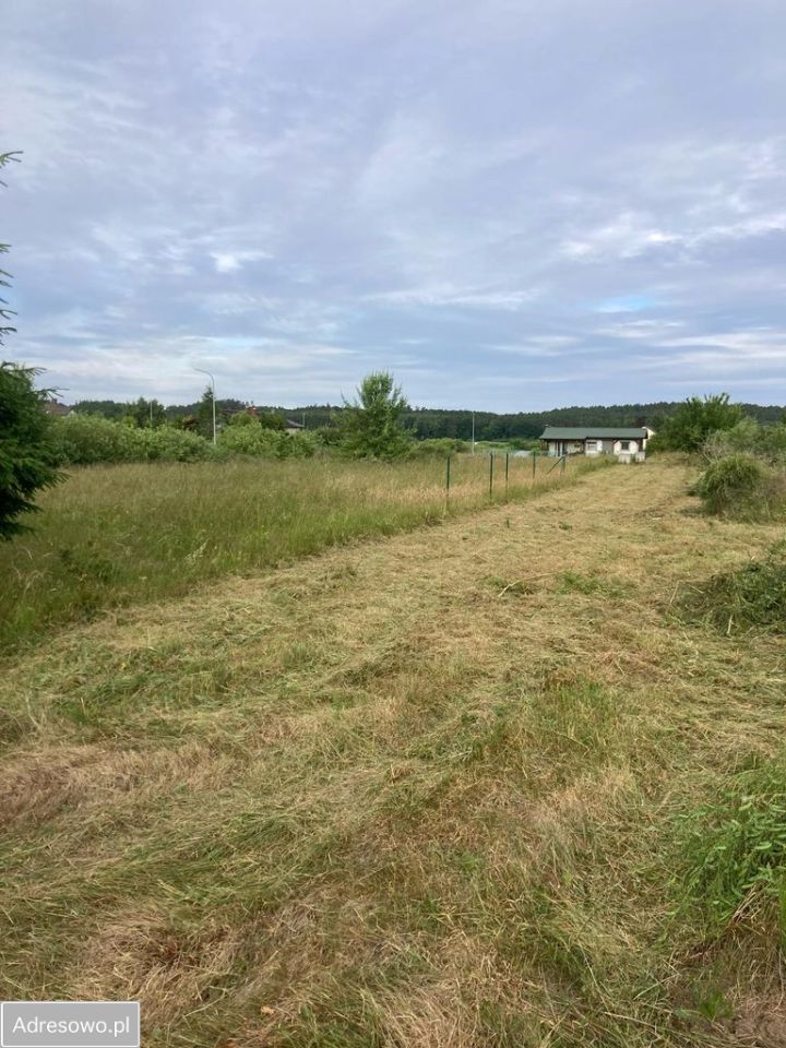 Działka budowlana Dębina. Zdjęcie 4