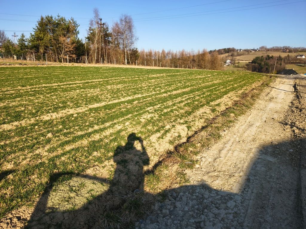 Działka budowlana Mszalnica. Zdjęcie 4