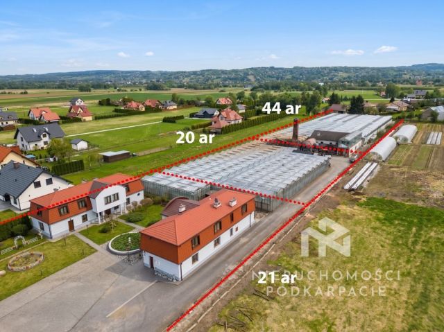 Lokal Lutoryż. Zdjęcie 11