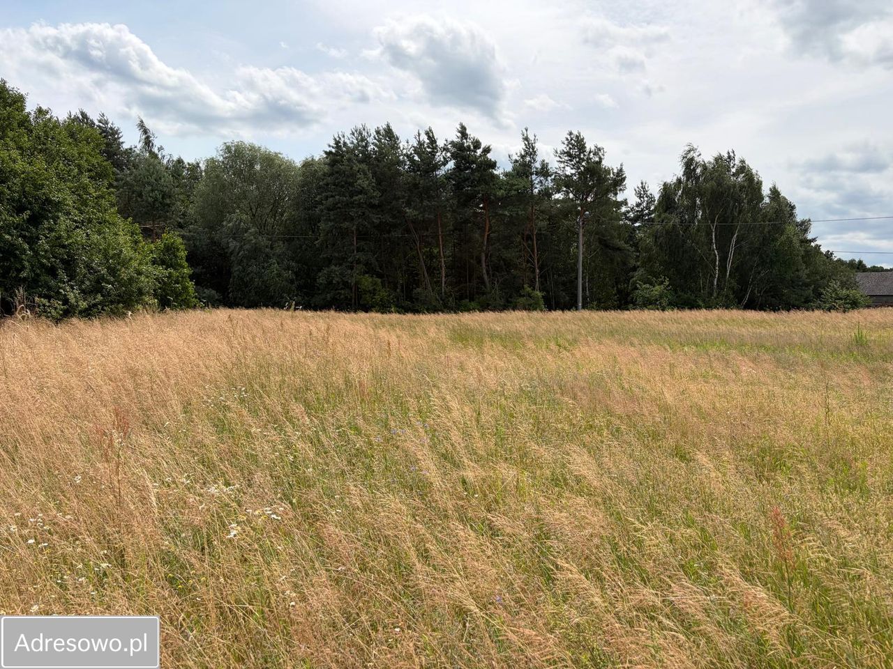 Działka budowlana Zawady. Zdjęcie 9