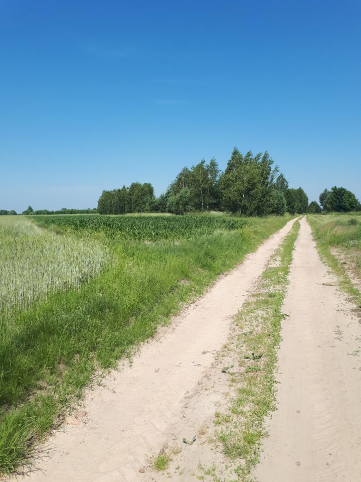 Działka budowlana Tryczówka. Zdjęcie 5