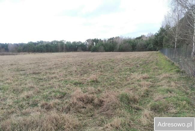 Działka budowlana Łacha, ul. Polnej Róży. Zdjęcie 3