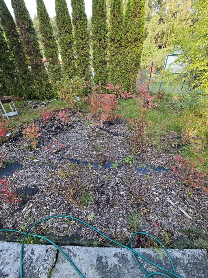 Działka rod Kieźliny. Zdjęcie 6