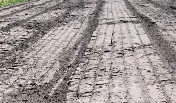 Działka budowlana Pasek