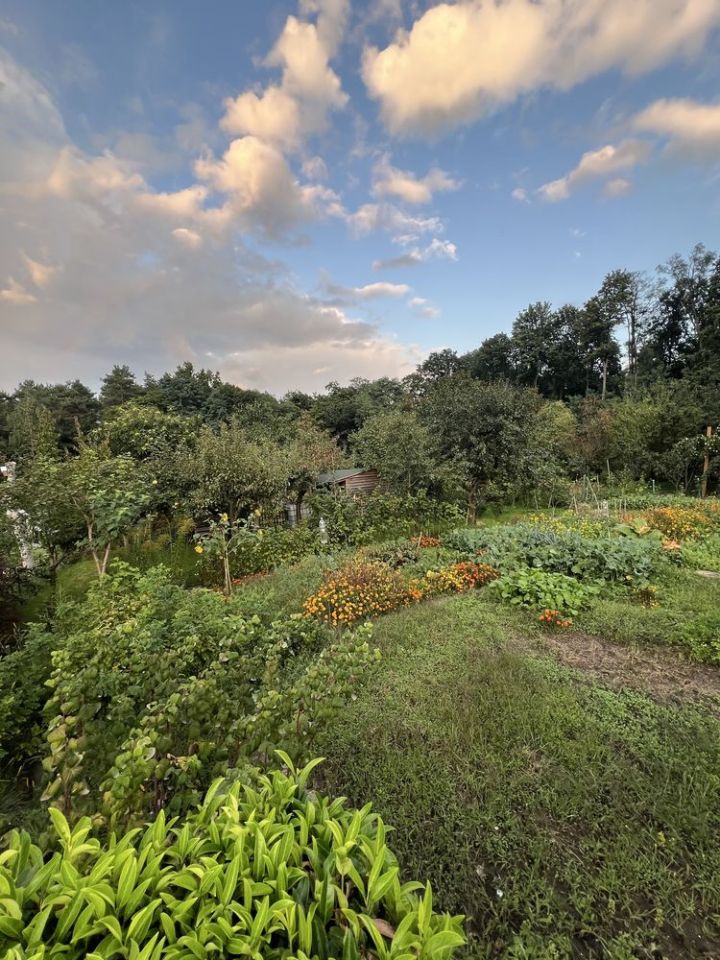Działka rod Zielona Góra, ul. Łużycka. Zdjęcie 7