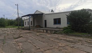 Hala/magazyn do wynajęcia Bońki  2500 m2