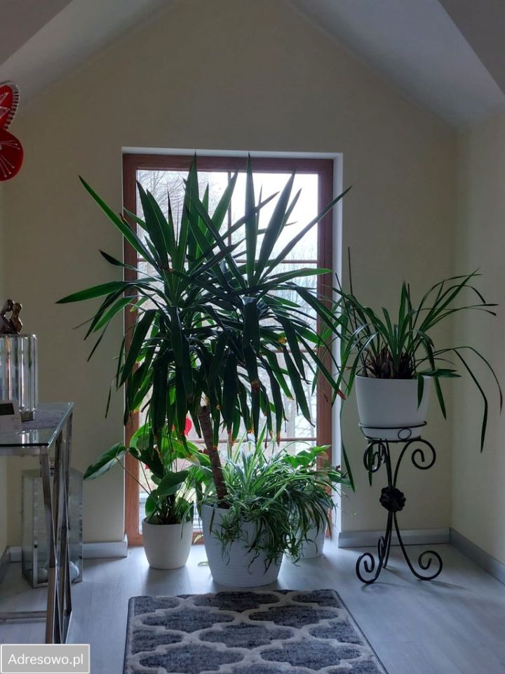 dom wolnostojący, 5 pokoi Łagów, ul. Widokowa. Zdjęcie 6