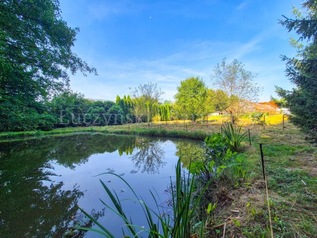 dom wolnostojący, 4 pokoje Mirsk. Zdjęcie 2