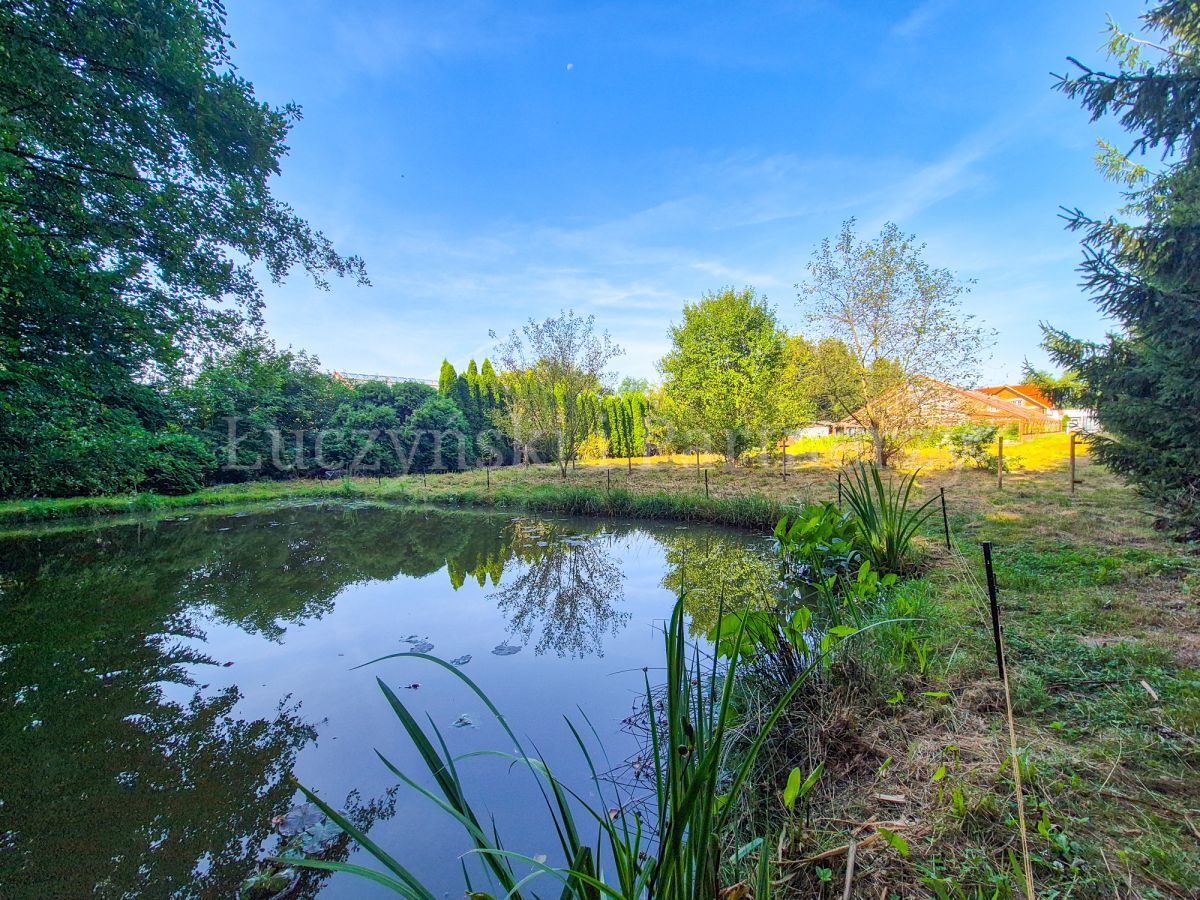 dom wolnostojący, 4 pokoje Mirsk. Zdjęcie 2