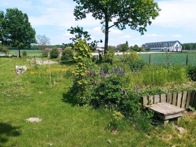 Działka siedliskowa Marianówka. Zdjęcie 1