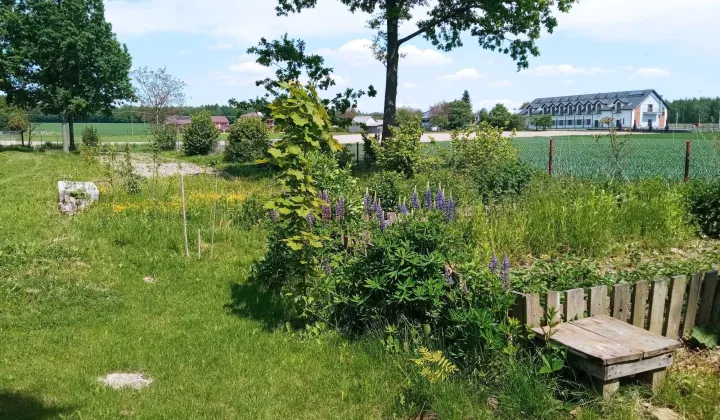 Działka siedliskowa Marianówka