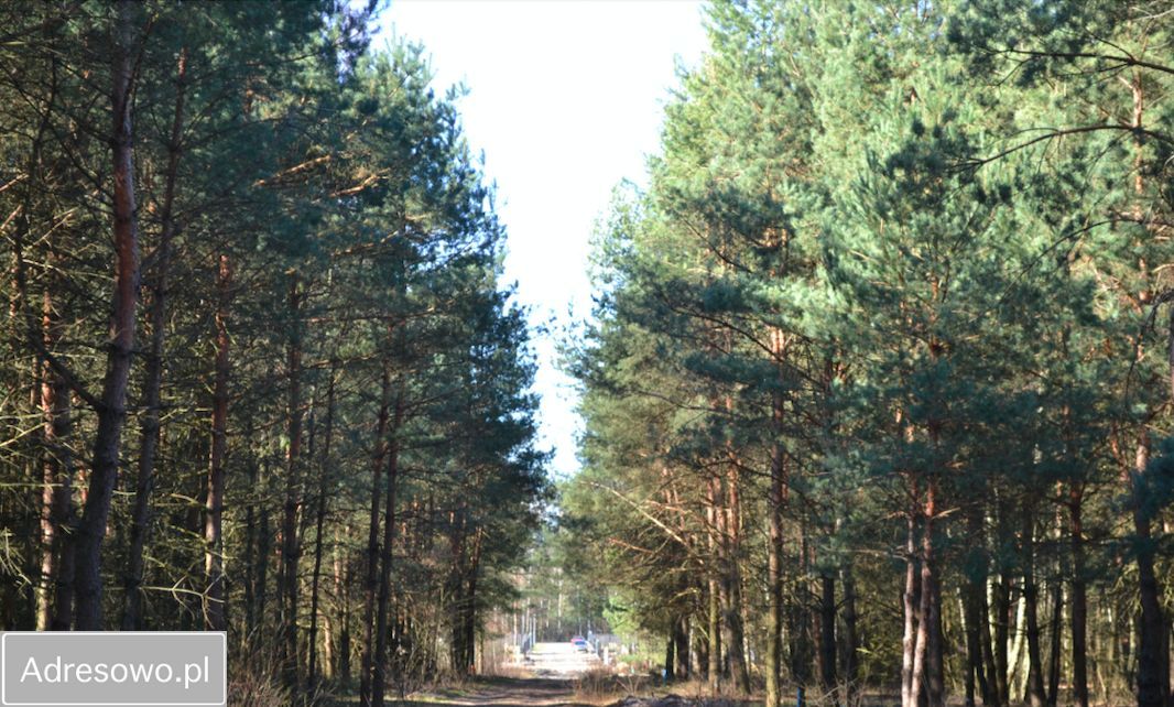Działka budowlana Osęczyzna. Zdjęcie 4