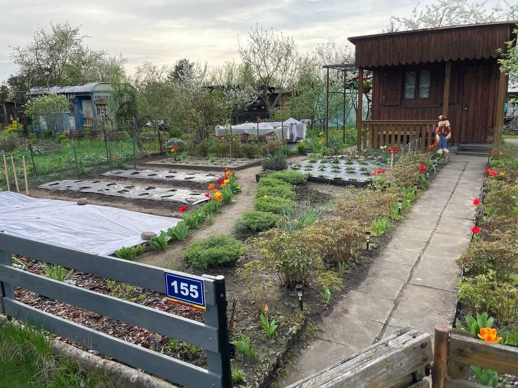 Działka rod Wrocław Krzyki. Zdjęcie 6