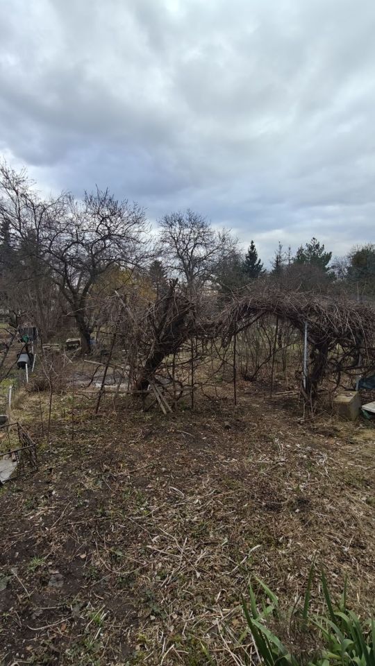 Działka rod Wrocław Śródmieście, ul. Odona Bujwida. Zdjęcie 5