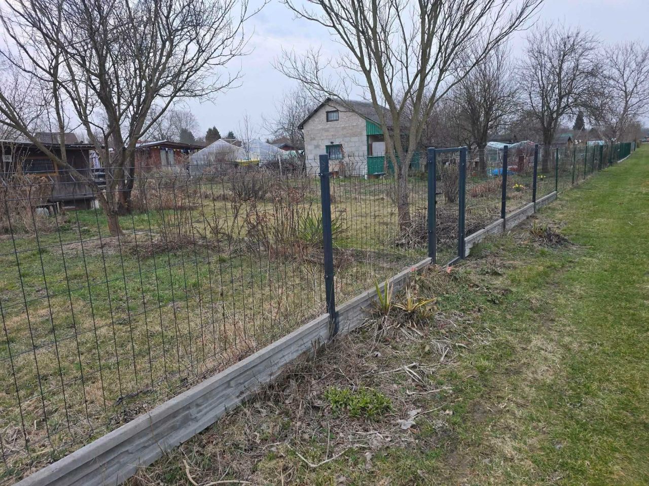 Działka rod Ostrowiec Świętokrzyski, ul. Stefana Żeromskiego. Zdjęcie 7