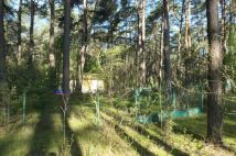 Działka rekreacyjna Popowo-Letnisko, ul. Długa. Zdjęcie 3