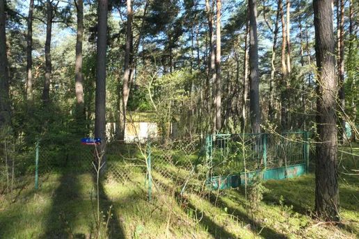 Działka rekreacyjna Popowo-Letnisko, ul. Długa. Zdjęcie 4