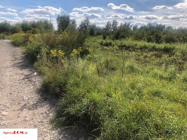 Działka budowlana Bramki. Zdjęcie 4