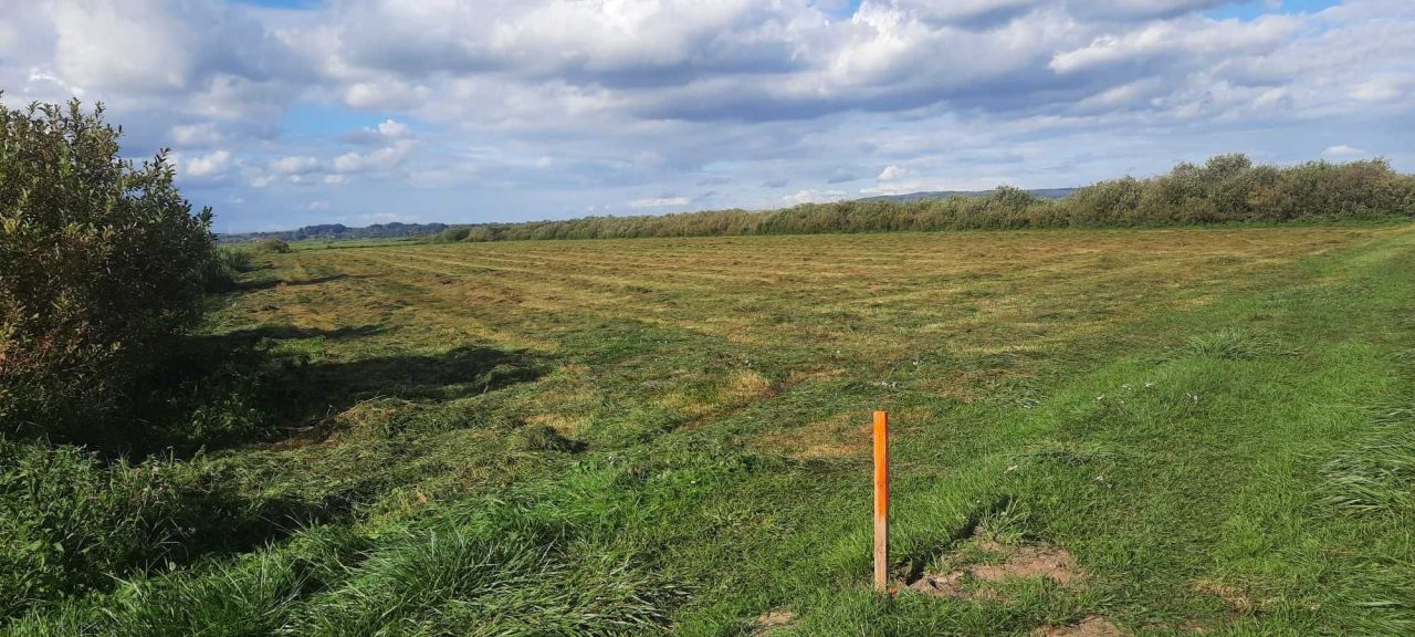 Działka rolna Heliodorowo. Zdjęcie 3