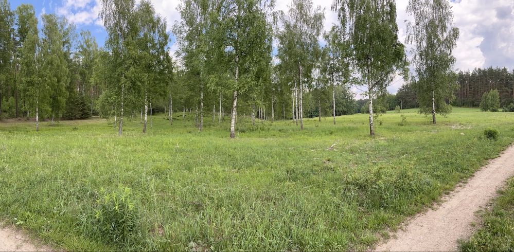 Działka rolna Lipowo Kurkowskie. Zdjęcie 5