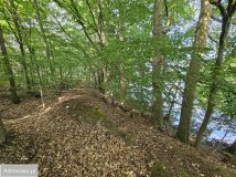 Działka Cybulin. Zdjęcie 3