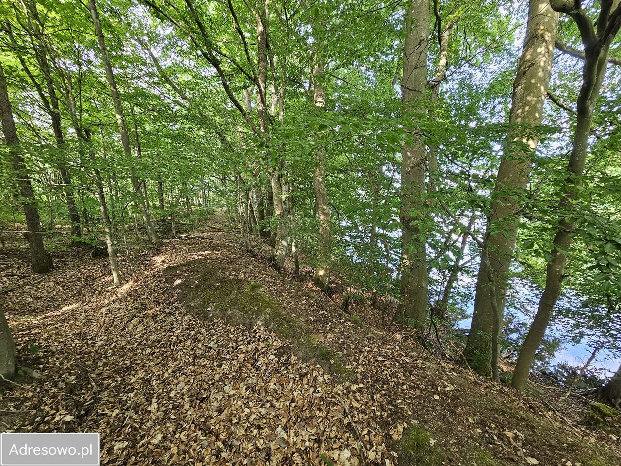 Działka Cybulin. Zdjęcie 4