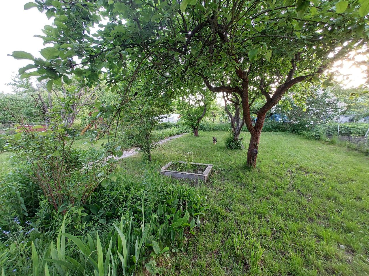 Działka rod Gorzów Wielkopolski. Zdjęcie 2
