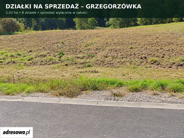 Działka rolno-budowlana Grzegorzówka. Zdjęcie 1