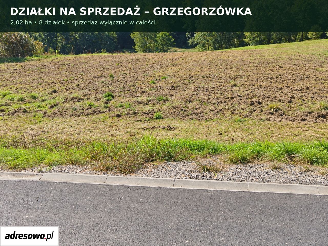Działka rolno-budowlana Grzegorzówka. Zdjęcie 1