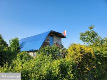 Działka rod Legnica, ul. Wielkiej Niedźwiedzicy. Zdjęcie 4