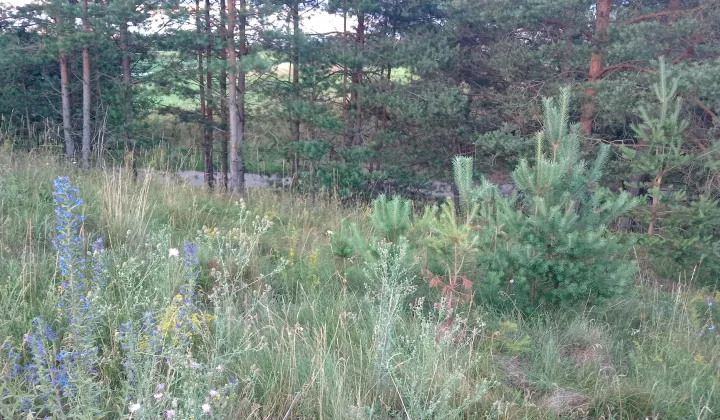 Działka rolna Żegary