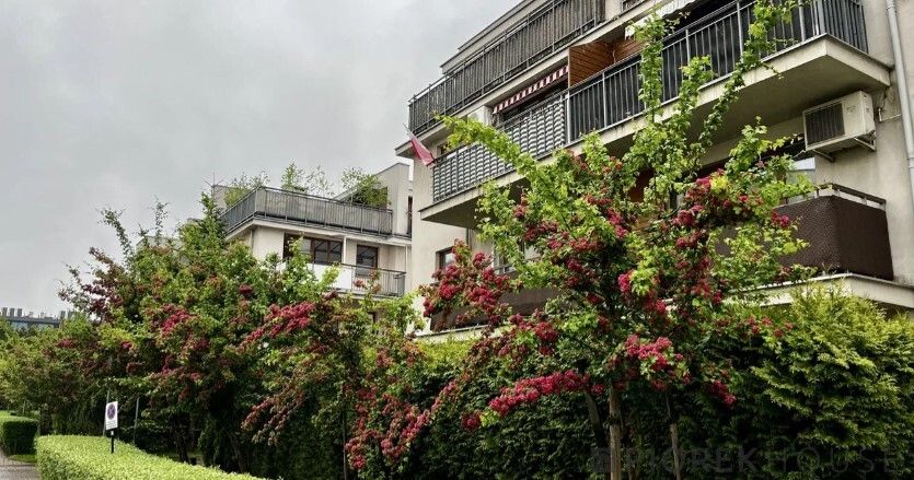 Mieszkanie 4-pokojowe Warszawa Ursynów, ul. Rybitwy. Zdjęcie 12